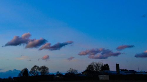 Silhouette of trees against sky at dusk