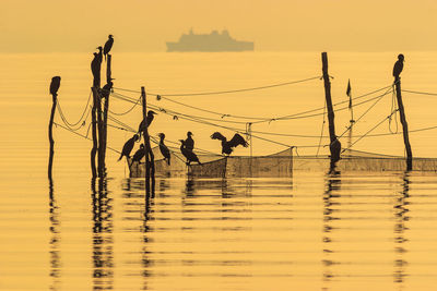 People fishing in sea against sky during sunset