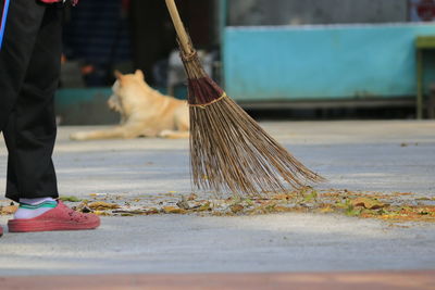 Low section of person sweeping road