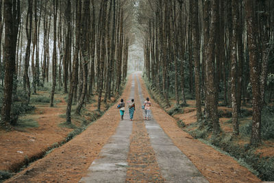 Rear view of people walking on footpath amidst trees in forest