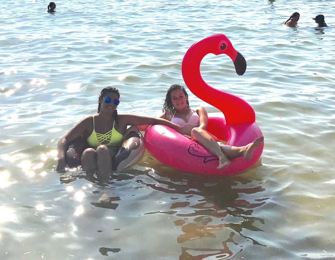 real people, water, leisure activity, day, togetherness, sitting, mature women, lifestyles, smiling, happiness, two people, outdoors, young women, full length, young adult, nature, flamingo, people