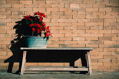 Potted plant against brick wall