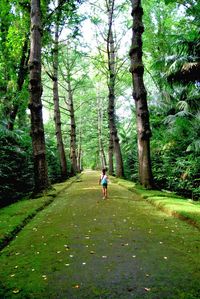 People walking on grass in forest