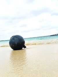 Close-up of crab on beach against sky