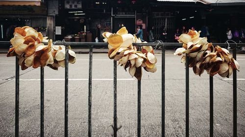 Close-up of dry leaves on street