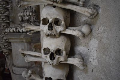 Close-up of human skull