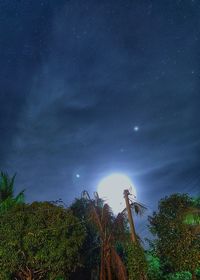 Low angle view of trees against sky at night