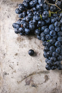 Close-up of grapes growing in vineyard