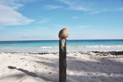 Wooden posts on beach against sky