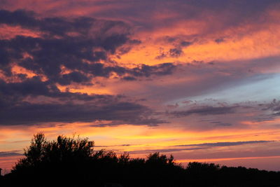 Silhouette of trees at sunset