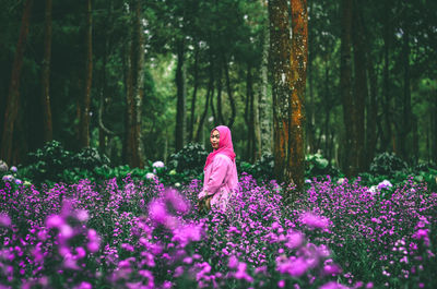 High angle view of pink flowering trees in forest