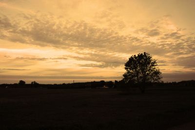 Silhouette trees on field against sky during sunset