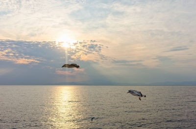 Seagull flying over sea against sky