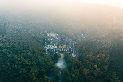 High angle view of trees in foggy weather