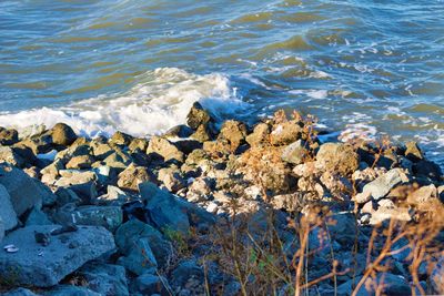 High angle view of pebbles on beach