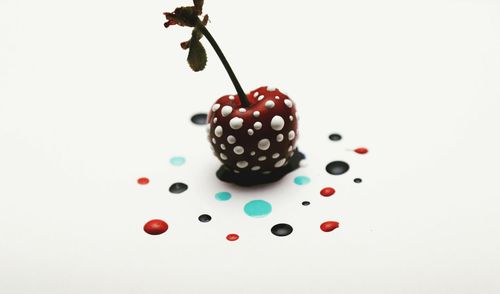 Close-up of berries over white background