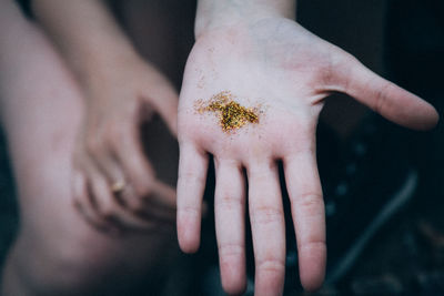 Close-up of hand holding flower