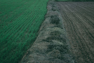 High angle view of land