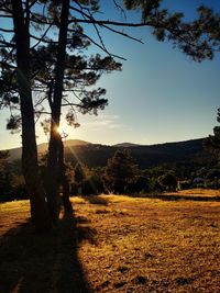 Scenic view of field against sky during sunset