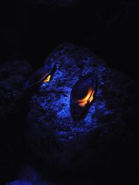 Close-up of illuminated light painting at night