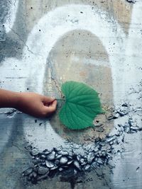 Low section of person holding leaf on footpath