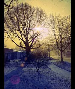 Bare trees against sky during sunset