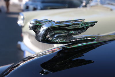 Close-up of a statue against blurred background