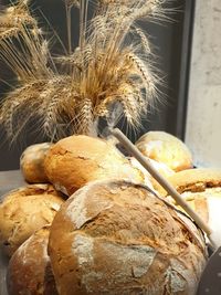 Close-up of wheat on table