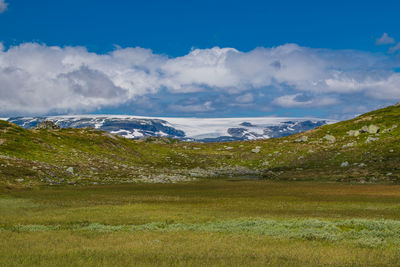 Scenic view of field against sky