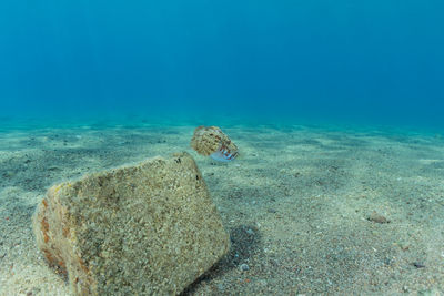 Scenic view of sea and rock