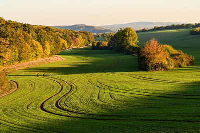 Scenic view of field against sky