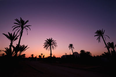 Silhouette palm trees against sky at sunset