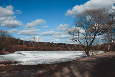 Trees on snow covered landscape against sky