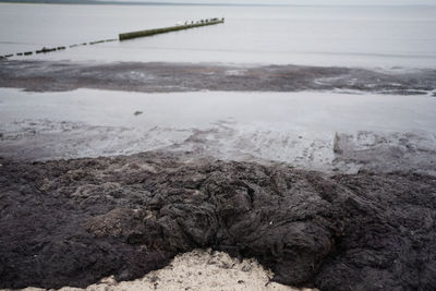 Smelly rotting algae at baltic sea beach in summer