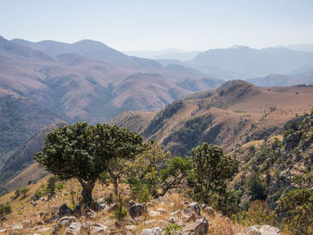 Scenic view of desert against clear sky