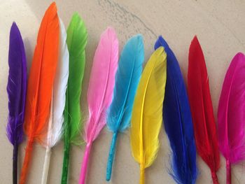 High angle view of colorful feathers on table