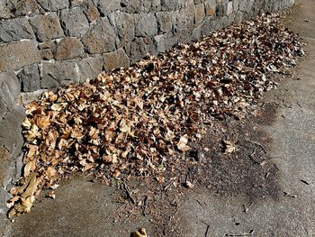 Close-up of stack of stone wall