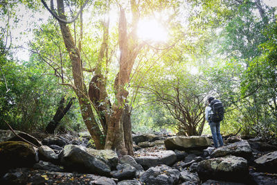 Man standing on rock in forest