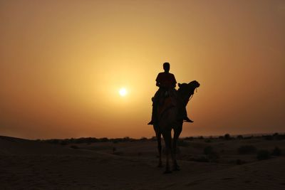 Silhouette man riding horse on desert against sky during sunset