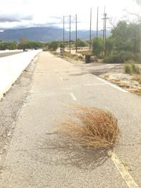 Empty road on field against sky