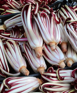 Full frame shot of onions for sale in market