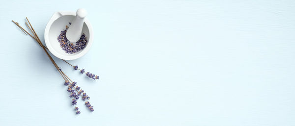 High angle view of purple flower on table