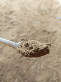 High angle view of ice cream in mud