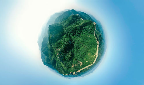 High angle view of tree against sky