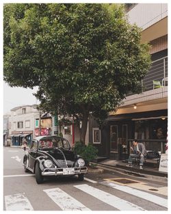 Bicycles on road by trees and buildings in city