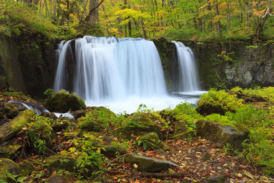 Scenic view of waterfall in forest