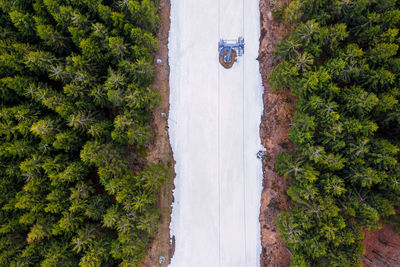 High angle view of road amidst trees