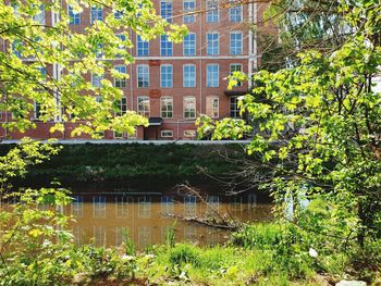 Reflection of trees and building in lake