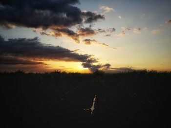 Scenic view of silhouette tree against sky at sunset