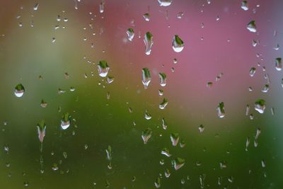 Close-up of water drops on glass window